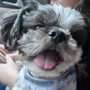 Fundraising Page: Danielle Phillips